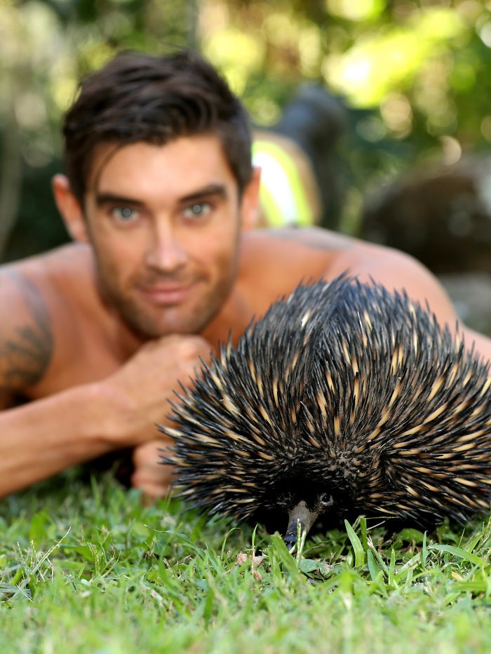 Les pompiers australiens posent avec des animaux pour leur nouveau